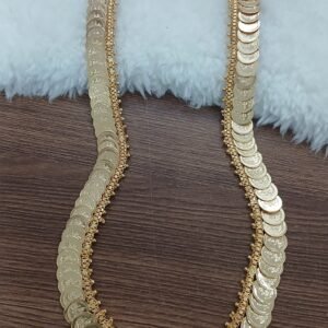 Micropolish medium size lakshmi kaasu long chain